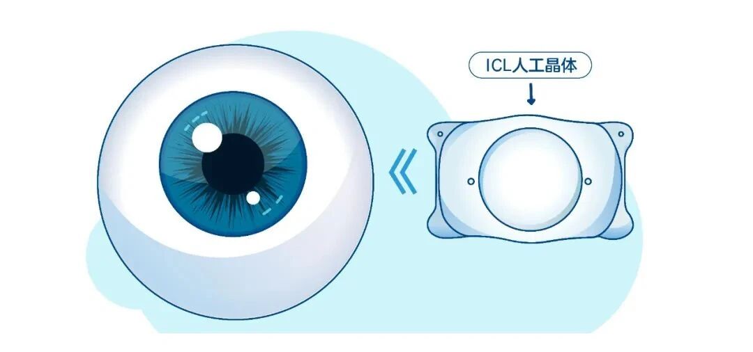 微信圖片_2025-12-11_142622_948