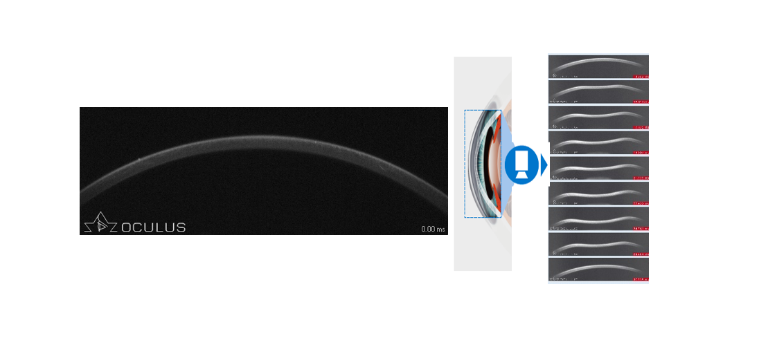 微信圖片_2026-03-07_093431_874